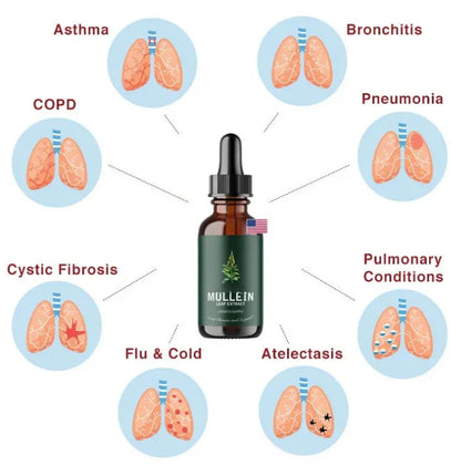 Natural Lung Cleanse Supplement – Mullein & Chlorophyll Formula